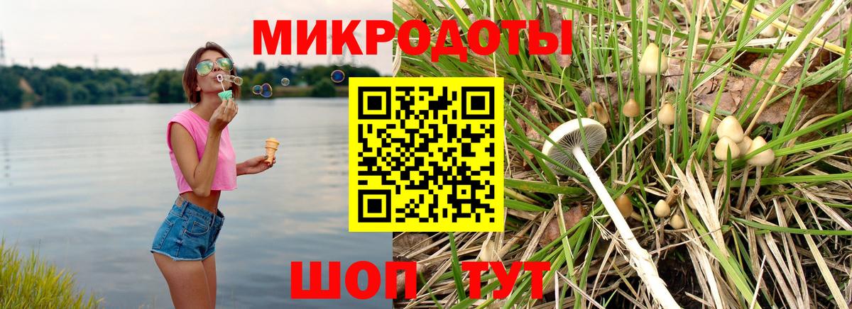Дзержинский  Псилоцибиновые грибы MAGIC MUSHROOMS  Вход с VPN  Псилоцибиновые грибы MAGIC MUSHROOMS 