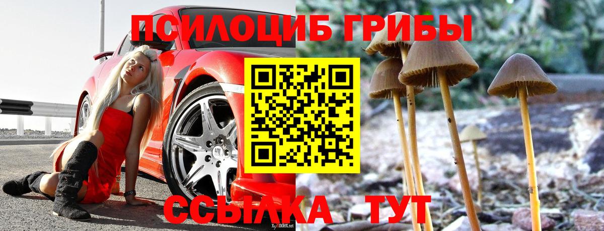 Галлюциногенные грибы MAGIC MUSHROOMS Дзержинский